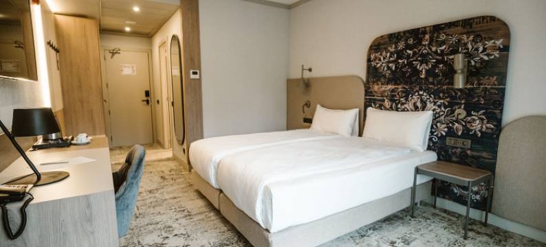 锡比乌阿森纳美居酒店(Mercure Sibiu Arsenal)图片