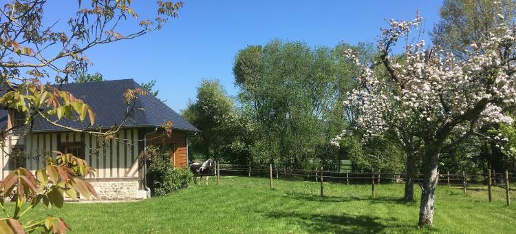 蒙特旅馆(L'Auberge du Mont)图片