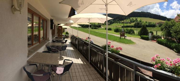 里奇巴克里酒店(Gasthof Richebächli)图片