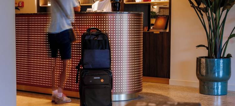 佩沙罗的查理(Charlie in Pesaro)图片