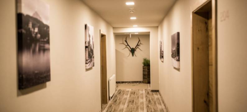 瓦尔兹旅馆(Der Walzl)图片