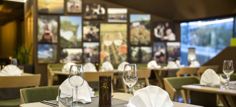 沃诺特哥斯泊佳酒店(Hotel Vinotel Gospoja)图片