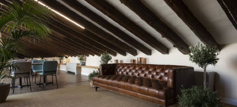 珀蒂宫普雷西亚多斯住宿(Petit Palace Preciados)图片