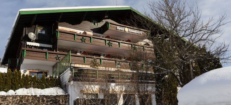 松莱登德瓦酒店(Hotel Sonnleiten)图片