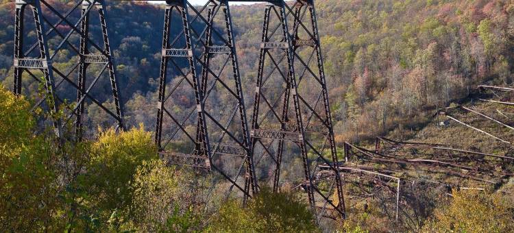 舒适酒店(Quality Inn & Suites)图片