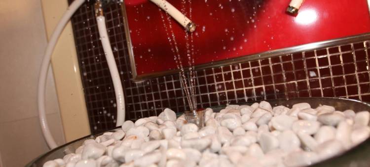 邦德假日酒店(Urlaubshotel Binder)图片