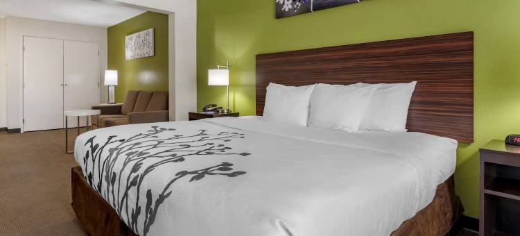 不伦瑞克舒眠酒店(Sleep Inn & Suites)图片