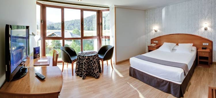 帕斯加酒店spa别墅(Hotel Spa Villa Pasiega)图片