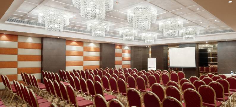 古尔冈DS克拉克斯酒店(Hotel DS Clarks Inn Gurgaon)图片