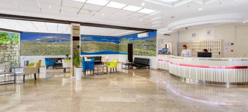 维斯酒店(Hotel Vis)图片