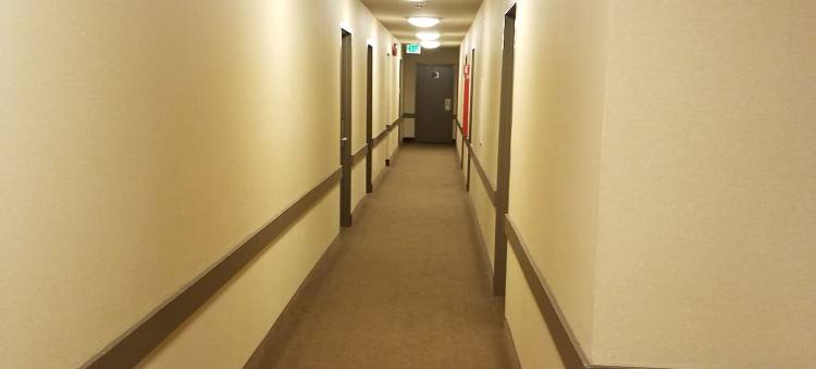 湾畔Travelodge by Wyndham(Travelodge by Wyndham San Francisco Bay)图片