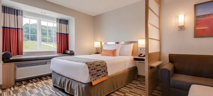 凯隆温德姆套房麦客达酒店(Microtel Inn & Suites by Wyndham Clarion)图片