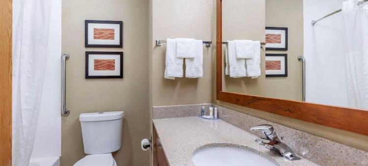 粮谷舒适酒店-堪萨斯城(Comfort Inn Grain Valley - Kansas City)图片