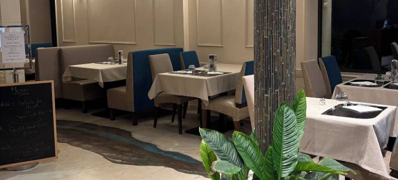 凡内格里酒店(Hôtel la Vinaigrerie Logis)图片