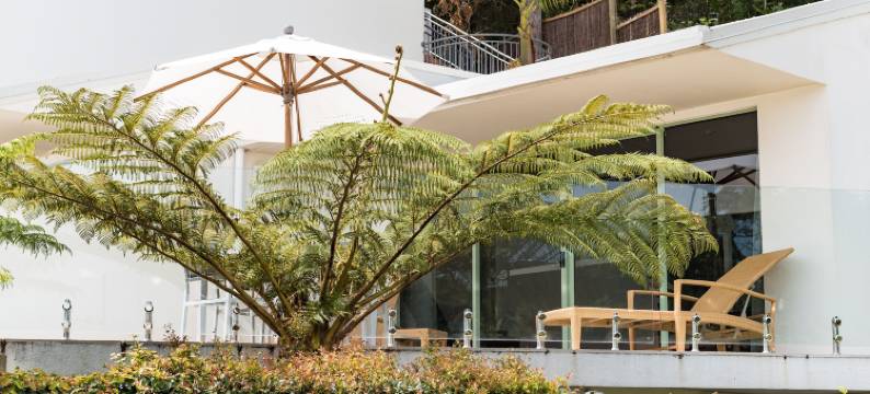 派希亚海滩度假村(Paihia Beach Resort & Spa Hotel)图片