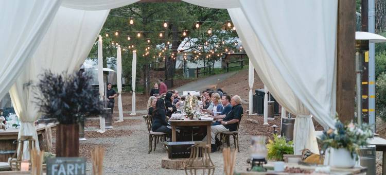 自动露营阿什维尔(AutoCamp Asheville)图片
