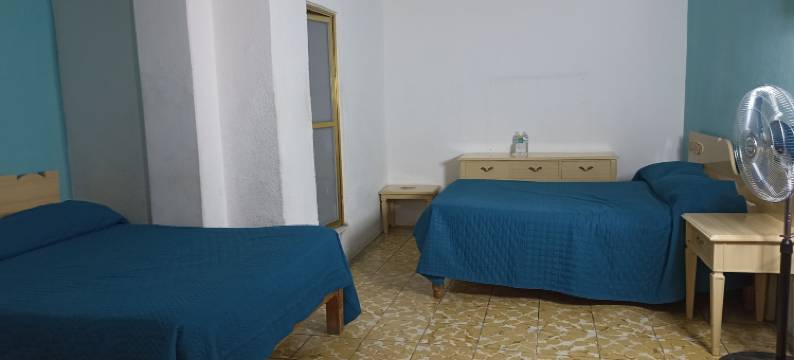 维耶纳酒店(Hotel Viena)图片