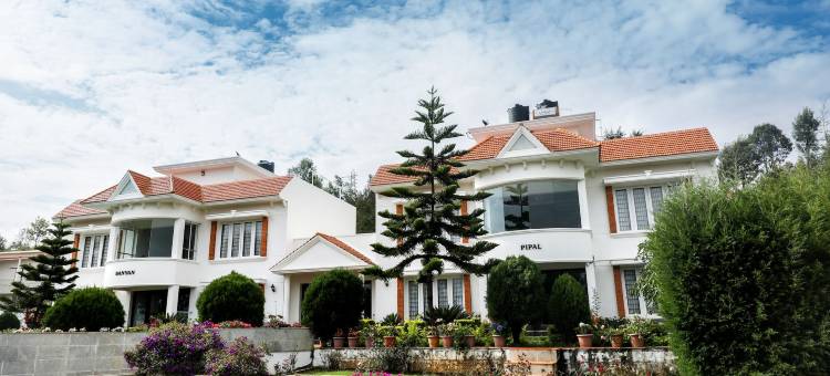 双树酒店(Twin Tree)图片