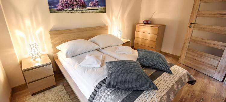 绿德鲁伊阳光和雪公寓酒店(Zielony Zdrój, Sun & Snow)图片