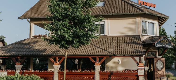 科罗纳膳食公寓及餐厅酒店(Korona Pension and Restaurant)图片