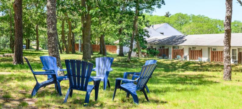 蓝海豚酒店(Blue Dolphin Inn)图片