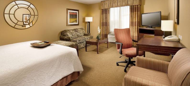 圣安东尼奥机场欢朋套房酒店(Hampton Inn & Suites San Antonio-Airport)图片