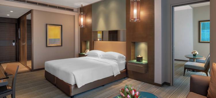 罗塔纳公园酒店(Park Rotana)图片