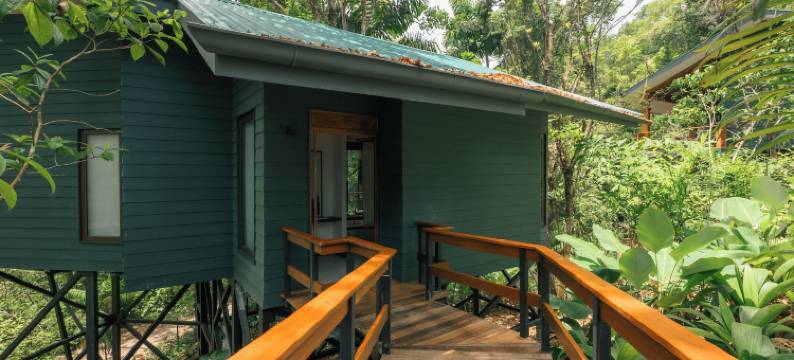 查查古亚雨林旅馆及温泉(Chachagua Rainforest Hotel & Hot Springs)图片