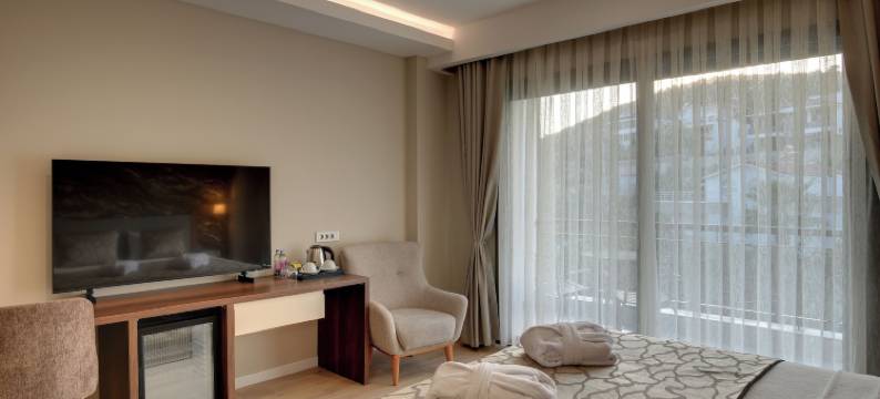 德德曼古尔努尔哈亚特温泉度假村(Dedeman Gure Nurhayat Thermal Resort&Spa)图片