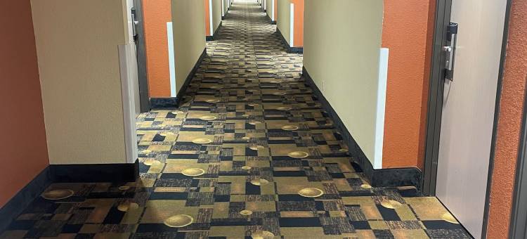 红狮酒店及套房蓝泉城(Red Lion Inn & Suites Blue Springs)图片