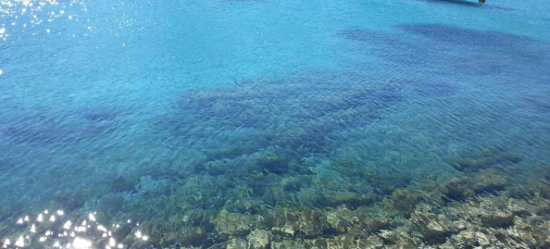 玛格莉卡宅邸酒店(Maison Margherita)图片