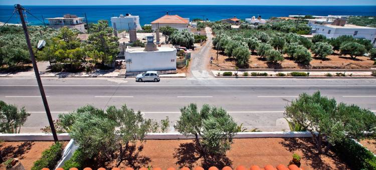 新极光-入住酒店(New Aurora Apts Studios)图片