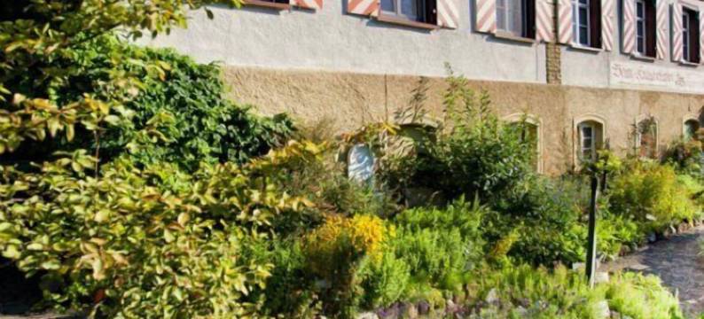 兰德盖斯特霍夫罗斯勒贝因姆克劳特维尔特酒店(Landgasthof Rössle - Beim Kräuterwirt)图片