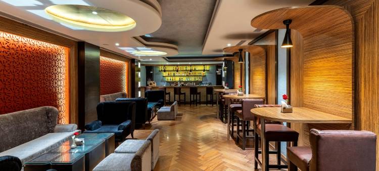 斯塔普拉万寿菊酒店(Hotel Marigold Jaipur)图片
