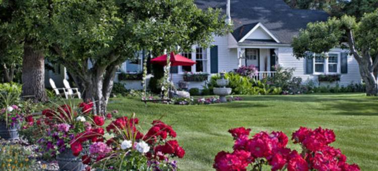 舒适玫瑰旅馆(Cozy Rose Inn)图片