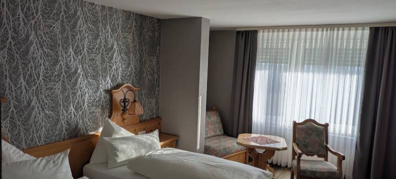 奥登瓦尔德布里克酒店(Hotel Odenwaldblick)图片