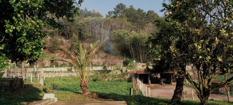 金哈斯庄园(Quinta da Quinhas)图片