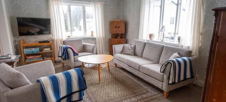 爱娜佛朔乐姆高山酒店(Enaforsholm Fjällgård)图片