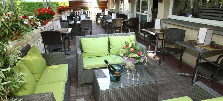 罗基斯巴格特尔酒店- 51530 迪斯(Logis Prim'Hôtel Bagatelle)图片