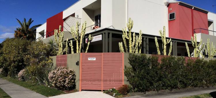 朝克棕榈精品住宿加早餐旅馆(Chaucer Palms Boutique B&B)图片
