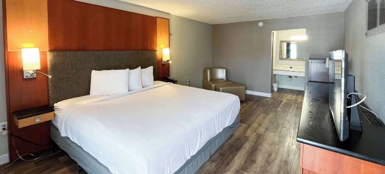 Motel 6 新港里奇，FL(Motel 6 New Port Richey, FL)图片