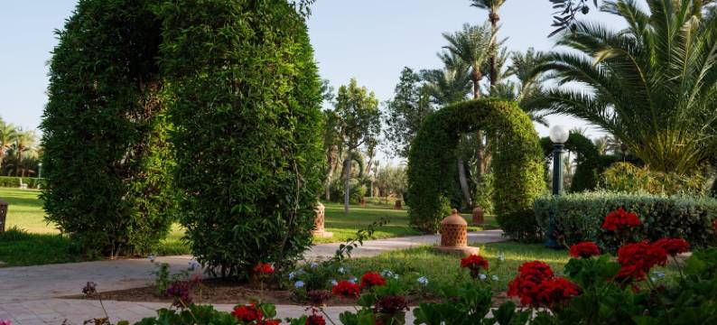 梅迪宫酒店(Palais Mehdi)图片