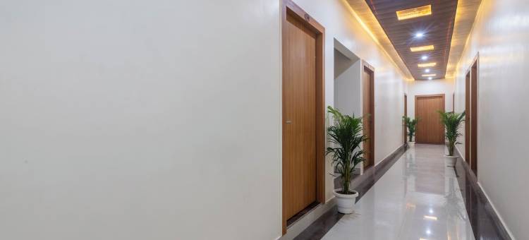 Treebo 金色卡西(Treebo Golden Kashi)图片