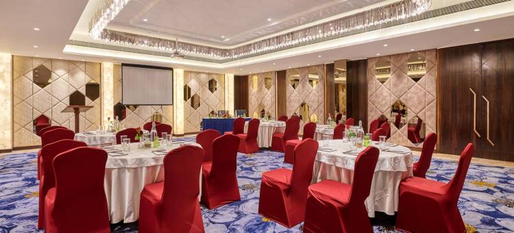 纳格浦尔傲世酒店(The Pride Hotel, Nagpur)图片