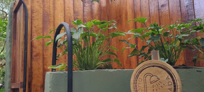 Nido Ecoluxury 梦幻树屋 - 树之家(Nido Ecoluxury Treehouse - Casa de Arbol)图片