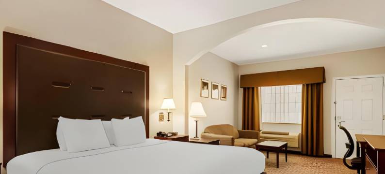 品质酒店及套房(Quality Inn & Suites)图片