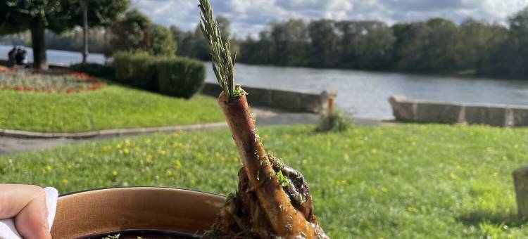 乐波德赛恩酒店(Logis Hôtel & Restaurant - les Bords de Seine)图片