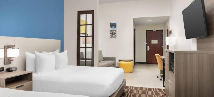 湖城舒适套房酒店(Comfort Suites Lake City)图片