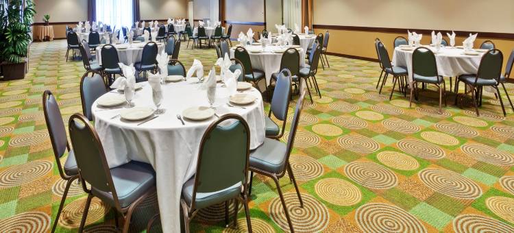 Holiday Inn 布卢明顿(Holiday Inn Bloomington-University Area)图片
