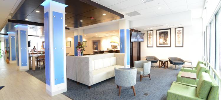 芝加哥北岸尼尔斯智选假日套房酒店(Holiday Inn Express & Suites Chicago North Shore - Niles)图片